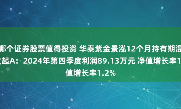 哪个证券股票值得投资 华泰紫金景泓12个月持有期混合发起A：2024年第四季度利润89.13万元 净值增长率1.2%