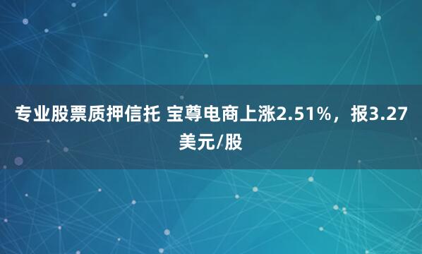 专业股票质押信托 宝尊电商上涨2.51%，报3.27美元/股