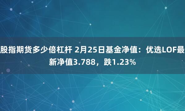 股指期货多少倍杠杆 2月25日基金净值：优选LOF最新净值3.788，跌1.23%