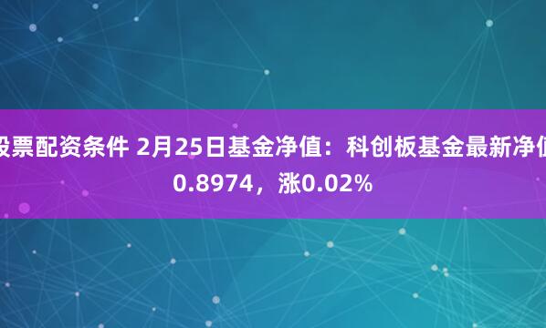 股票配资条件 2月25日基金净值：科创板基金最新净值0.8974，涨0.02%