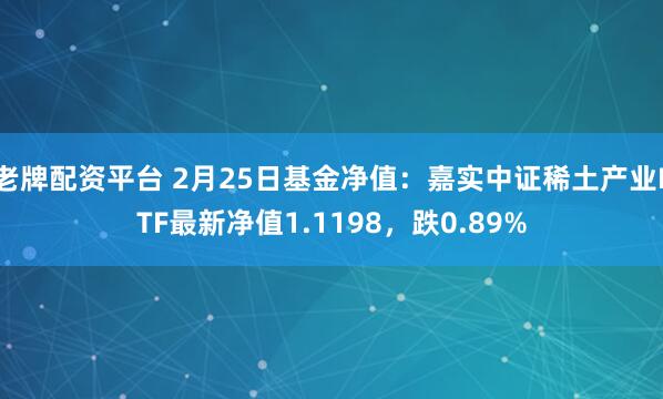 老牌配资平台 2月25日基金净值：嘉实中证稀土产业ETF最新净值1.1198，跌0.89%