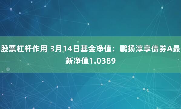 股票杠杆作用 3月14日基金净值：鹏扬淳享债券A最新净值1.0389