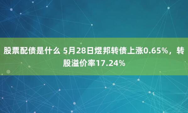股票配债是什么 5月28日煜邦转债上涨0.65%，转股溢价率17.24%